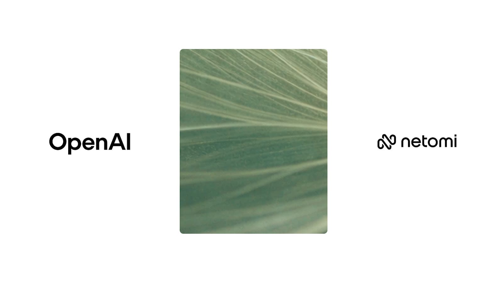 Netomi 的企业级 AI Agent 规模化部署经验：从 GPT-4.1 到 GPT-5.2 的实战蓝图