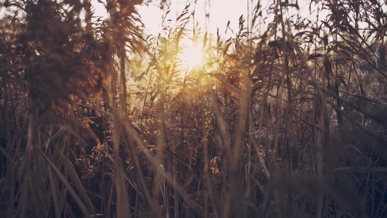 Meoo秒悟团队版全量上线，接入Qwen-3.8-Max，企业AI生产力平台正式落地